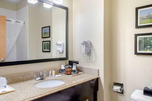 Hotel Comfort Inn & Suites Covington