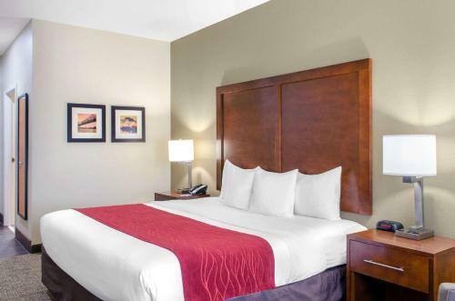 Hotel Comfort Inn & Suites Covington