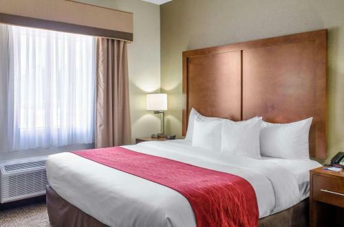 Hotel Comfort Inn & Suites Covington