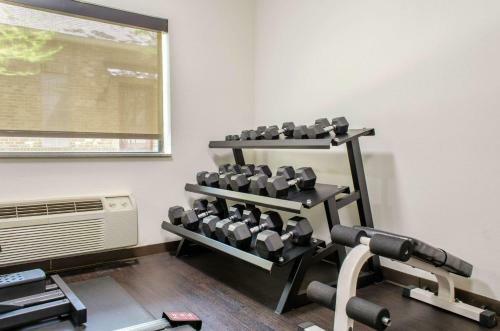 Hotel Comfort Inn & Suites Covington
