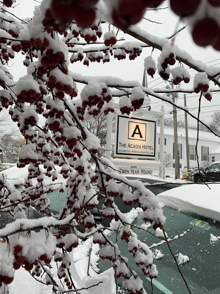 Acadia Hotel - Downtown