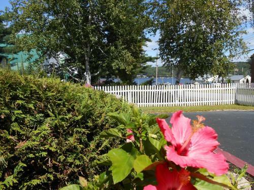 Bed & Breakfast Lakeview Inn