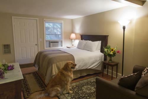 Bed & Breakfast Inn On Shore Road