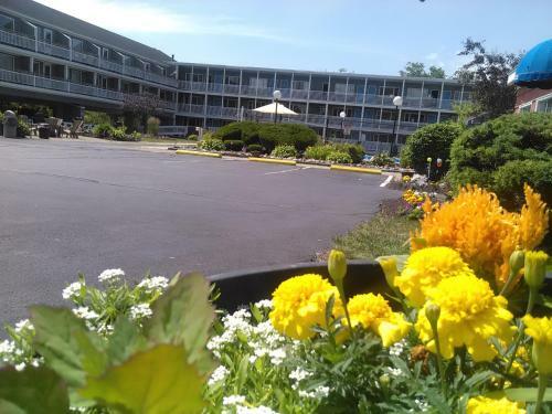 Hotel Grand Beach Inn