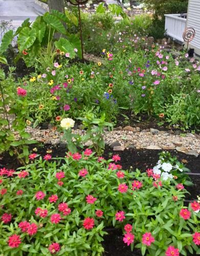 Bed & Breakfast Black Boar Inn Ogunquit