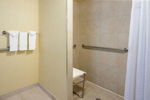 Hotel Holiday Inn Baltimore-inner Harbor