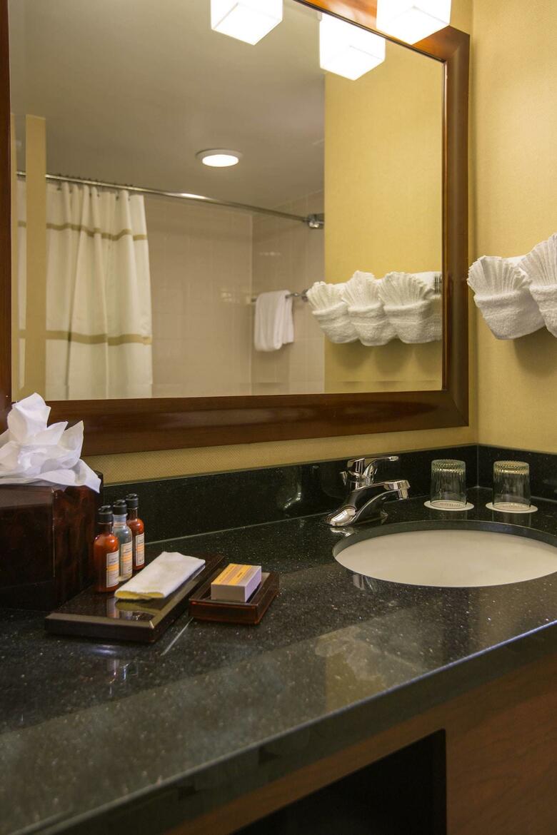Hotel Baltimore Marriott Inner Harbor At Camden Yards