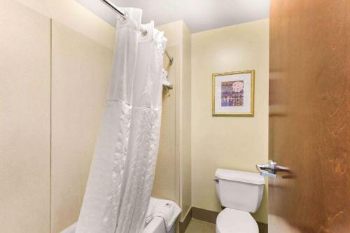 Hotel Comfort Suites Columbia Gateway