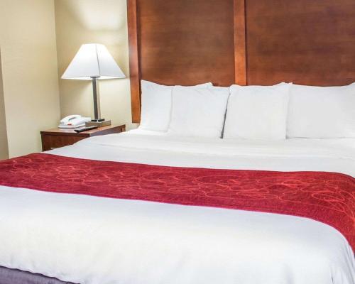 Hotel Comfort Suites Hagerstown