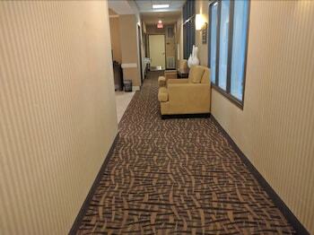 Hotel Sleep Inn & Suites Laurel