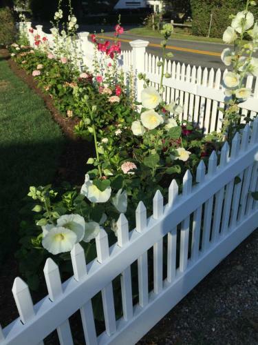 Bed & Breakfast Chatham Gables Inn