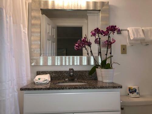 Hyannis Inn Motel