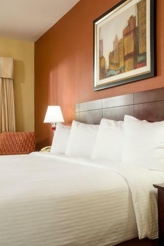 Best Western University Hotel Boston
