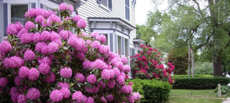 Isaiah Jones Homestead Bed And Breakfast