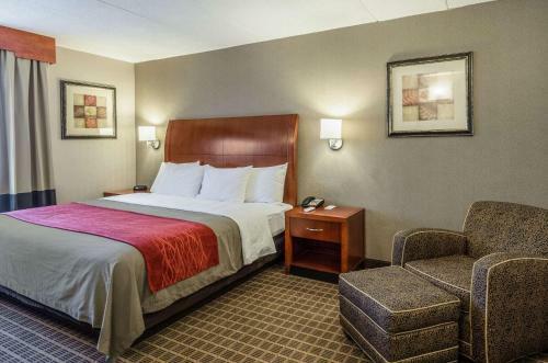 Hotel Comfort Inn & Suites West Springfield