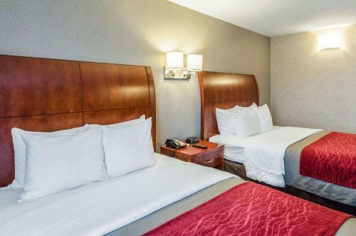 Hotel Comfort Inn & Suites West Springfield