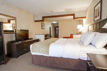 Hotel Comfort Suites Grand Rapids North