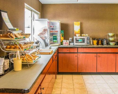 Hotel Quality Inn & Suites Flint Airport