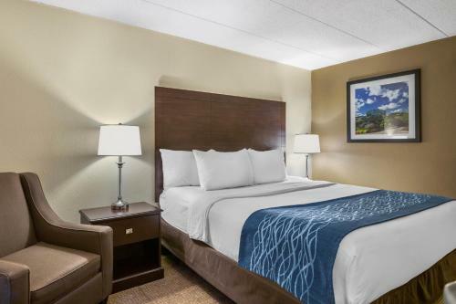 Hotel Comfort Inn Airport Grand Rapids