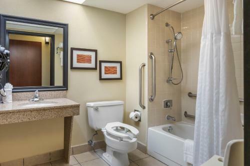 Hotel Comfort Inn Airport Grand Rapids