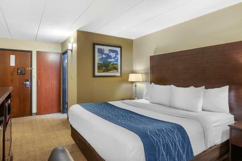 Hotel Comfort Inn Airport Grand Rapids