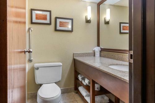Hotel Comfort Inn Airport Grand Rapids