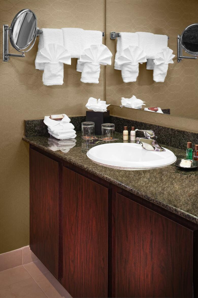 Hotel Sheraton Detroit Metro Airport