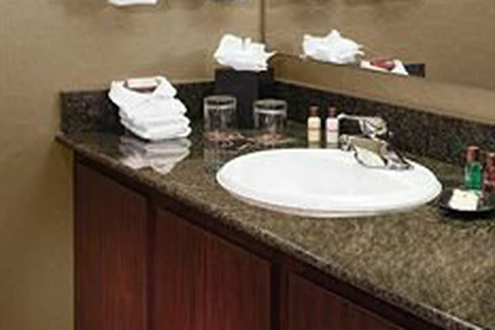Hotel Sheraton Detroit Metro Airport