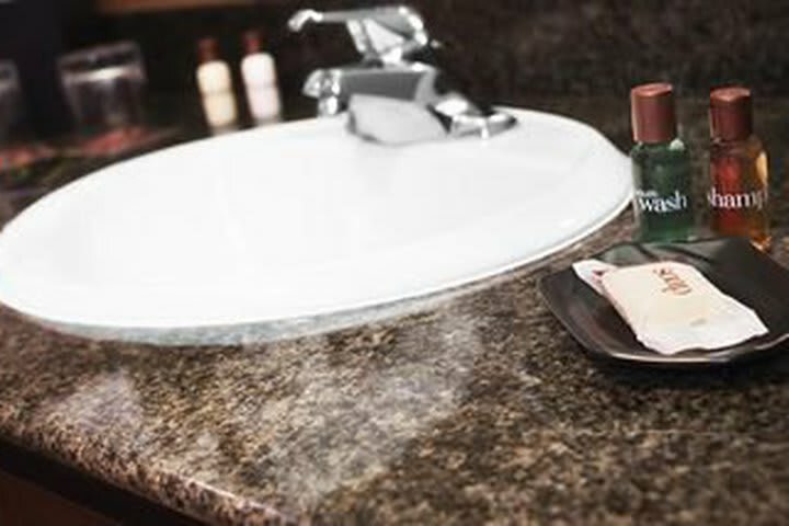 Hotel Sheraton Detroit Metro Airport