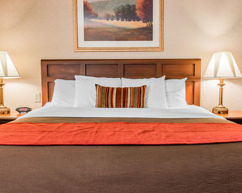 Hotel Comfort Inn Utica