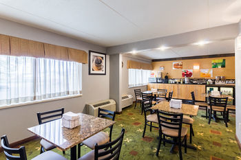 Hotel Quality Inn And Suites Rochester