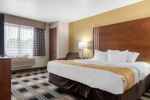 Hotel Comfort Inn Rochester
