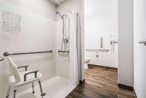 Hotel Microtel Inn And Suites Rochester