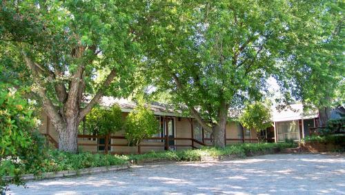 Hotel Tribesman Resort