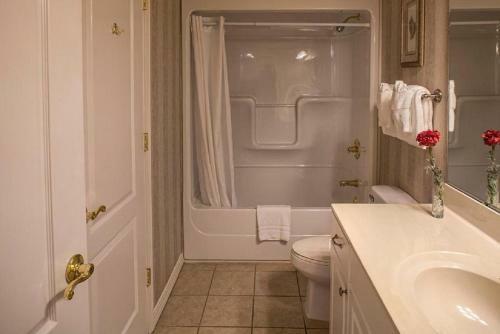 Hotel French Quarter Resort