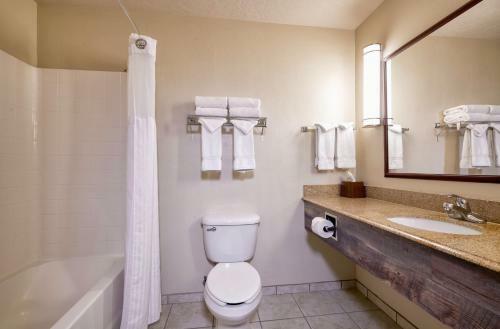 Yellowstone Park Hotel