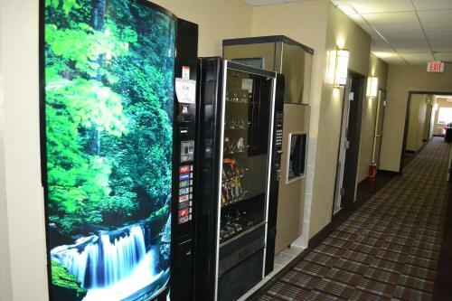 Hotel Countryside Inn & Suites