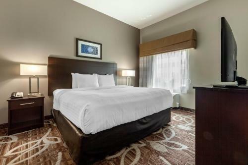 Hotel Mainstay Suites Lincoln