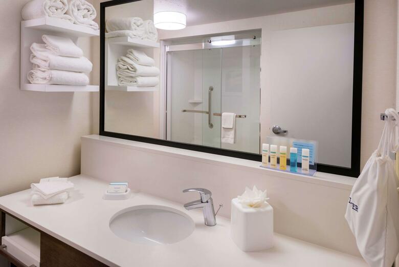 Hotel Hampton Inn & Suites Carson City