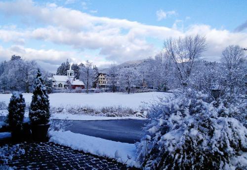 Hotel Snowflake Inn