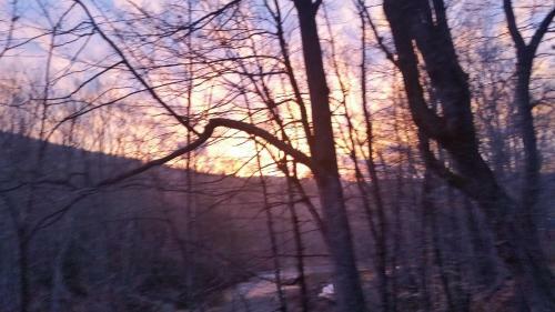 Wilderness Inn Bed And Breakfast