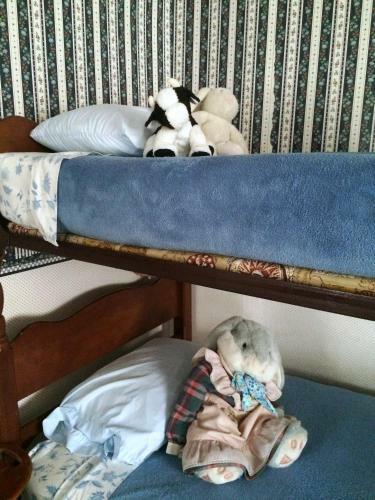 Cranmore Mountain Lodge Bed & Breakfast