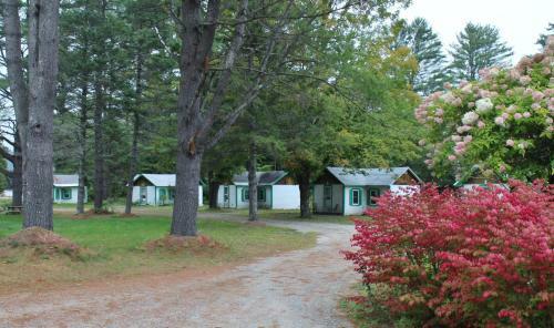 Motel Pine Valley Cabins