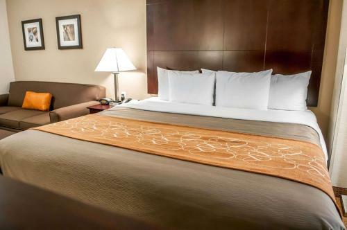 Hotel Comfort Suites Albuquerque