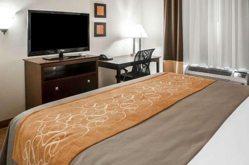 Hotel Comfort Suites Albuquerque