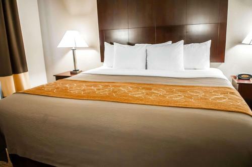 Hotel Comfort Suites Albuquerque