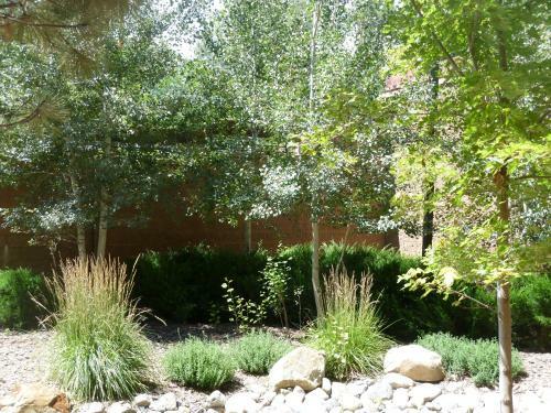 Hotel Ruidoso River Resort & Inn