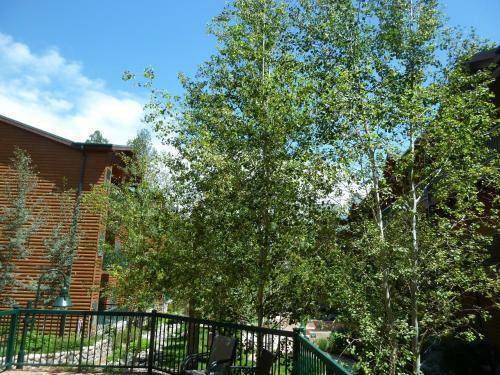 Hotel Ruidoso River Resort & Inn