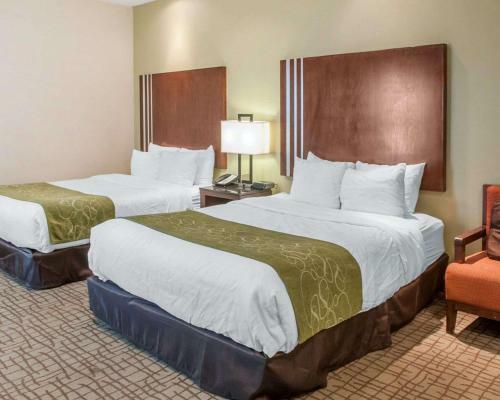 Hotel Comfort Suites Roswell