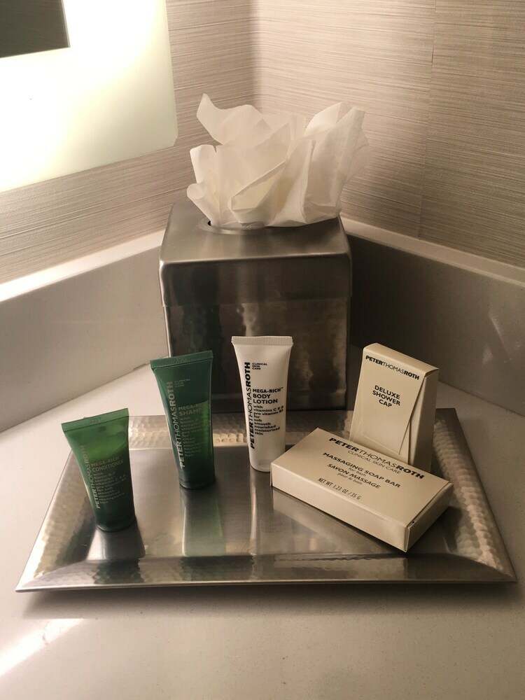 Hotel Hilton Albany